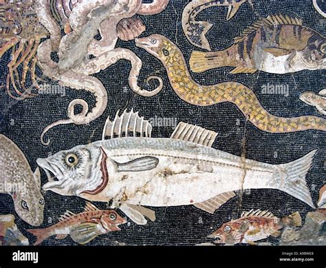 Roman sea life mosaic from Pompeii Stock Photo - Alamy