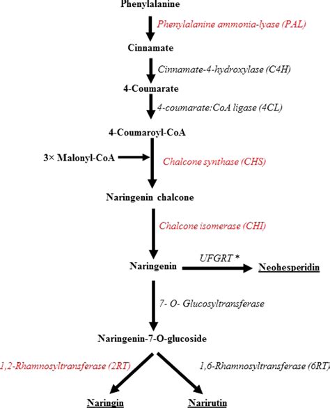 Flavonoid biosynthesis pathway in grapefruit. Genes involved in ...