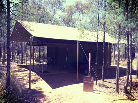 Elephant lodge... | elephant lodge @Zoofari Lodge @Dubbo Zoo… | Stevie ...