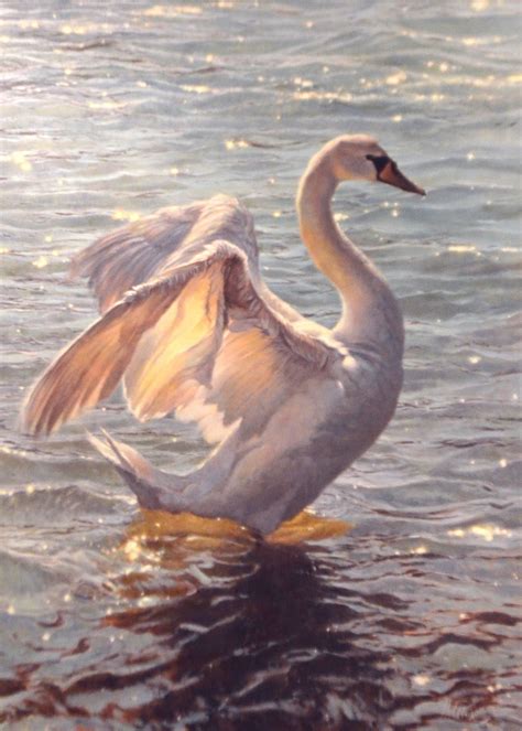 Mathew Hillier - The Swan | Animal paintings, Swan painting, Bird art