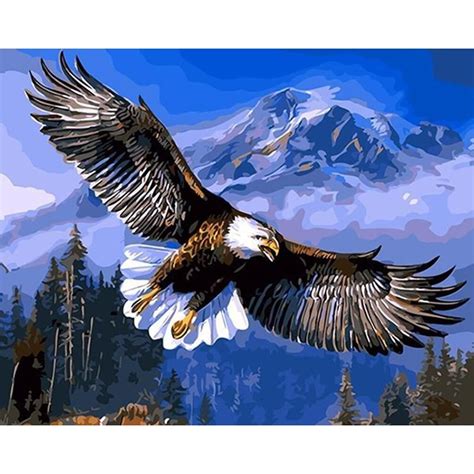 Paint By Number Eagle Flying | Eagle painting, Bald eagle, Eagle animals