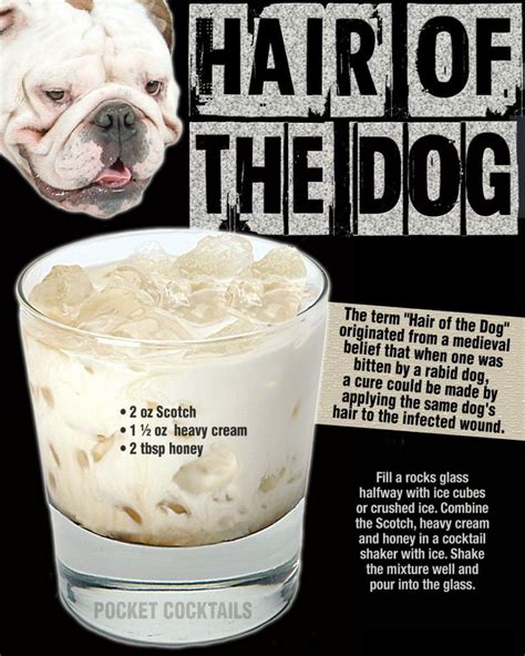 Hair Of The Dog | Alcohol drink recipes, Liquor recipes, Mixed drinks recipes