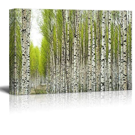 Wall26 Canvas Prints Wall Art - Birch Trees with Fresh Green Leaves in Spring | Modern Wall ...