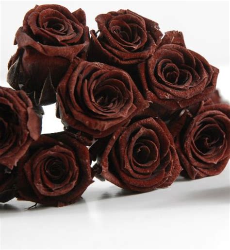 brown rose | Brown flowers, Brown wedding, Brown color