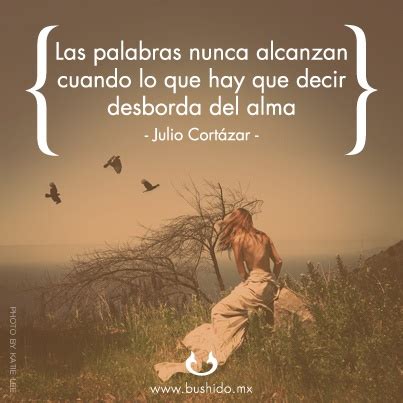 Julio Cortazar Quotes. QuotesGram