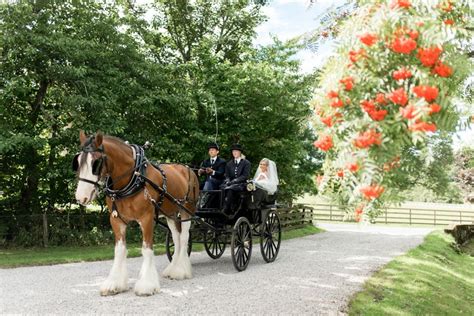 Horse & carriage | Horses, Horse carriage, Wedding venues