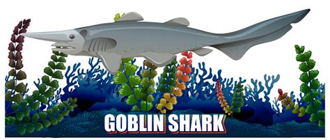 Goblin Shark Deep Sea Creature Stock Illustration - Download Image Now - Animal, Art ...