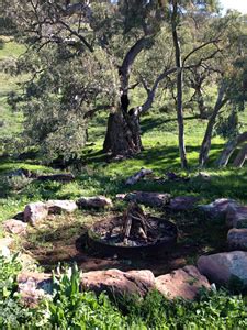 Camp Sites - Flinders Ranges Accommodation & Camping Adventures