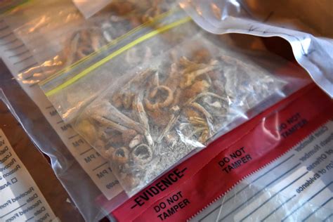 Decriminalizing psilocybin advances in CT legislature