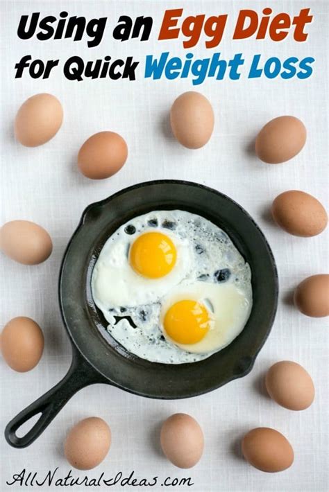 Egg Fast Diet to Lose Weight Quickly | All Natural Ideas