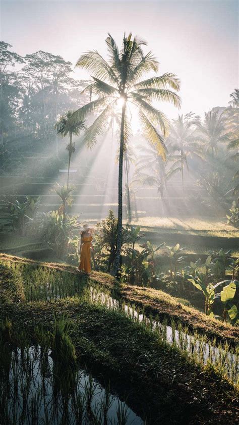 Bali Sunrise : r/sunrise