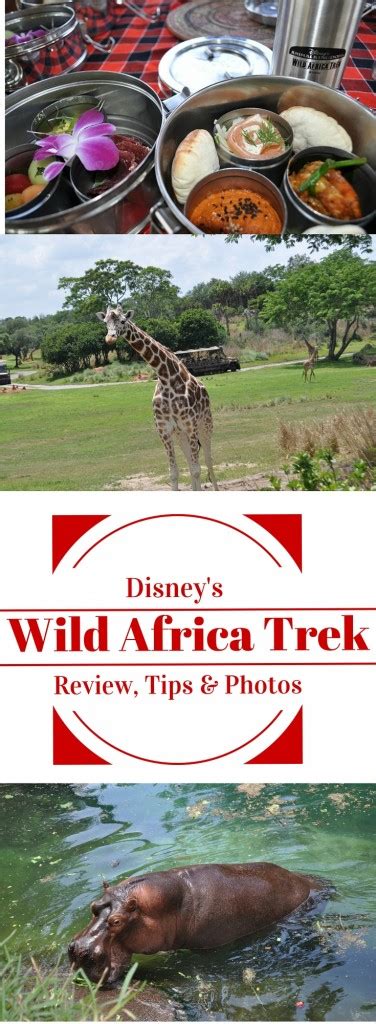 Disney's Wild Africa Trek Review Tips and Photos - Classy Mommy