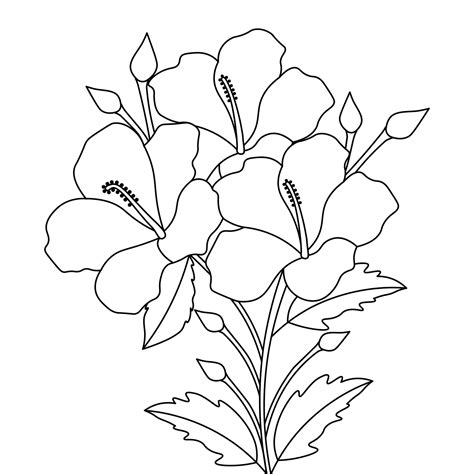 hibiscus flower drawing with ink contours for coloring page 6648608 ...