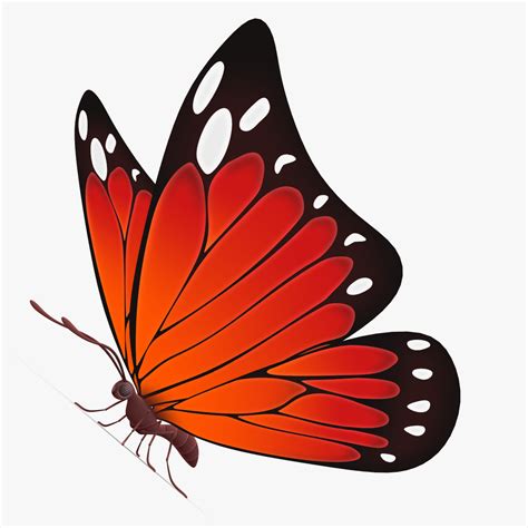 beautiful butterfly cartoon 3d max