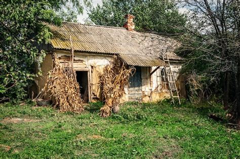 Premium Photo | Old village house in forest environment