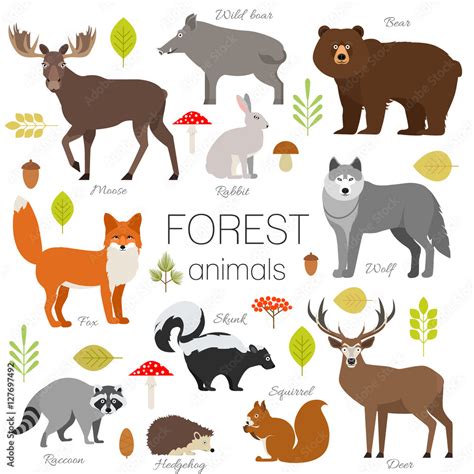 Set of forest animals isolated vector. Moose, wild boar, bear, fox, rabbit, wolf skunk raccoon ...