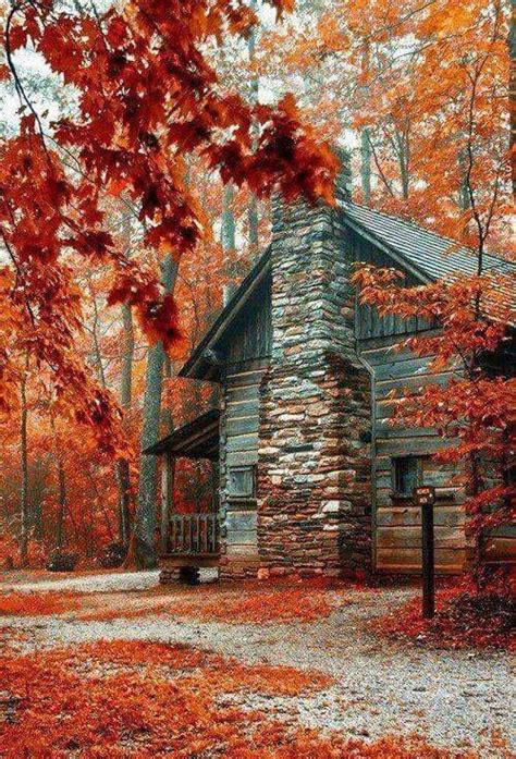 Cabin in the fall forest | Autumn scenery, Autumn scenes, Fall pictures