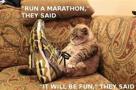 love this. #running #marathons | Animal captions, Funny animal pictures, Funny animals