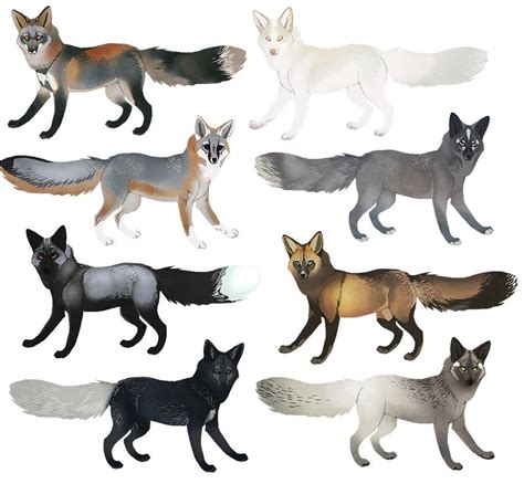 Fox Colors II by CoyoteMange on deviantART | Canine art, Creature ...