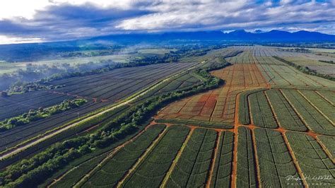 The Beauty of Bukidnon - RedDoorz Blog