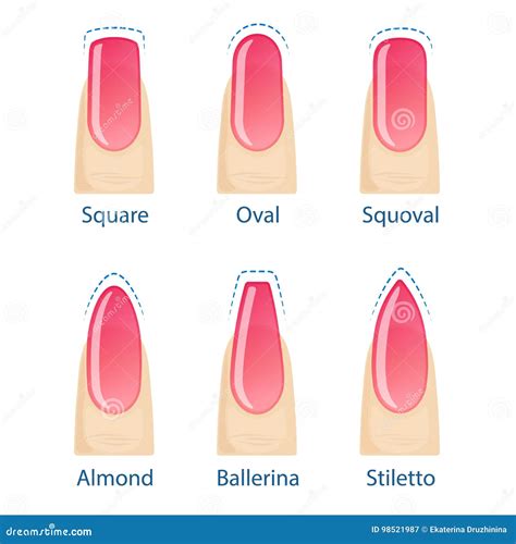 Set of nails shapes stock vector. Illustration of collection - 98521987