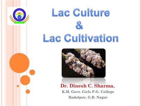 Lac culture and Cultivation