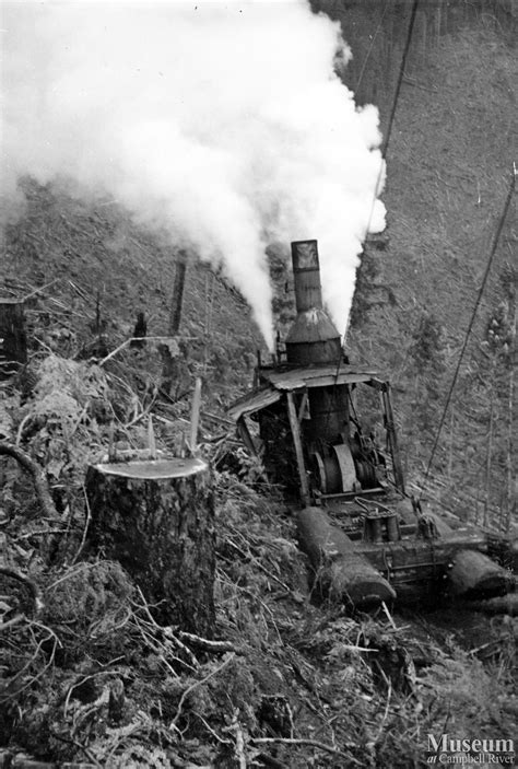 Steam donkey in operation | Campbell River Museum - Online Gallery