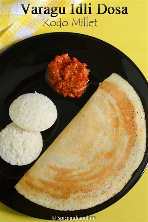 MILLET IDLI DOSA RECIPE - Varagu Idli Dosai recipe - Kodo Millet recipes — Spiceindiaonline