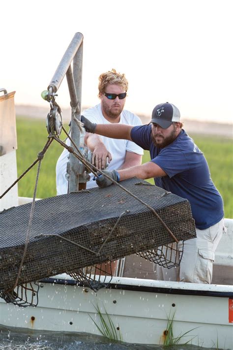 The Big O: Oyster Farming Hits Southern Waters - South Magazine