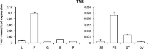 TM8 gene expression pattern. Relative expression profiles of the TM8 ...