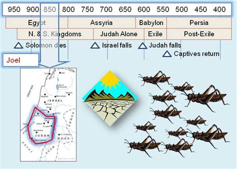 Book of Joel in the Bible | Understanding the bible, Bible questions, Bible facts