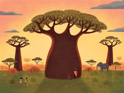 Baobab by Emily Dove on Dribbble