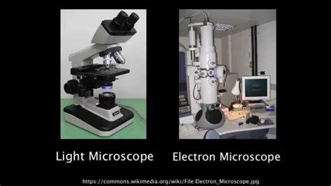 Compound Microscope Vs Electron Microscope