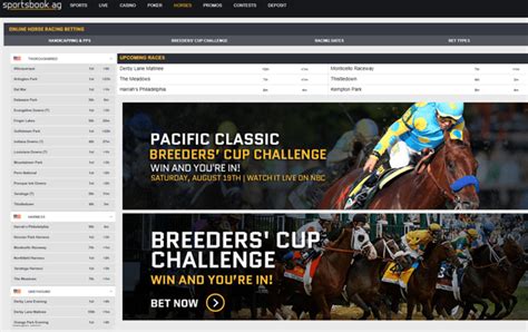 Sportsbook Review - Information About Sportsbook.ag