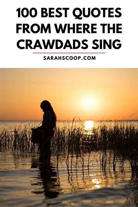 100 Best Where the Crawdads Sing Movie Quotes in 2022 | Sing movie, Singing quotes, Singing