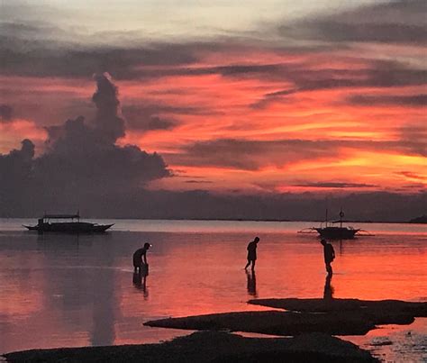 This sunset in Bohol Phillipines | Sunset, Phillipines, Travel