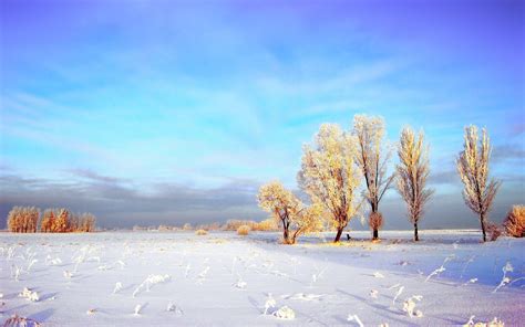 Winter Landscape Wallpapers - Wallpaper Cave