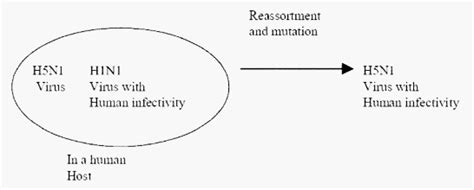 Antigenic Shift and Drift | Epomedicine