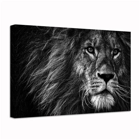 Latitude Run® Black And White Lion Portrait - Wrapped Canvas Print ...