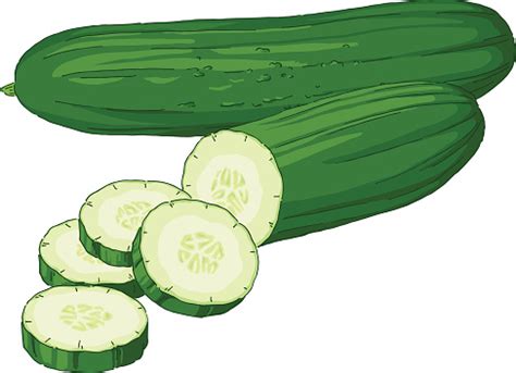 Cucumber clipart - Clipground