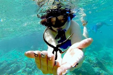 Experience the adventurous snorkeling with an all inclusive virgin island packages. | Best all ...