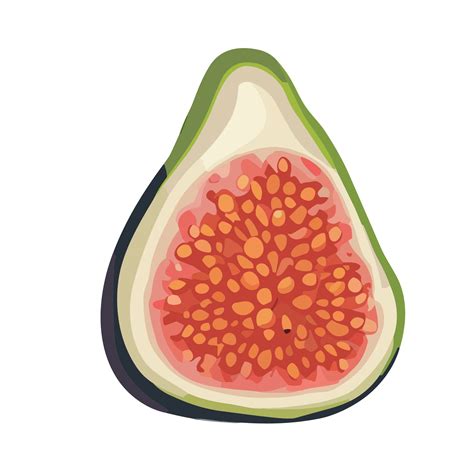 Fig transparent background,Ai generative 25334461 PNG