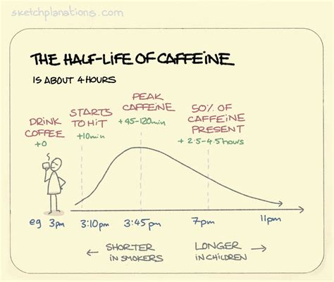 The half-life of caffeine - Sketchplanations