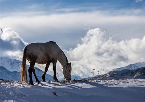 Seasons in Azerbaijan: Weather and Climate