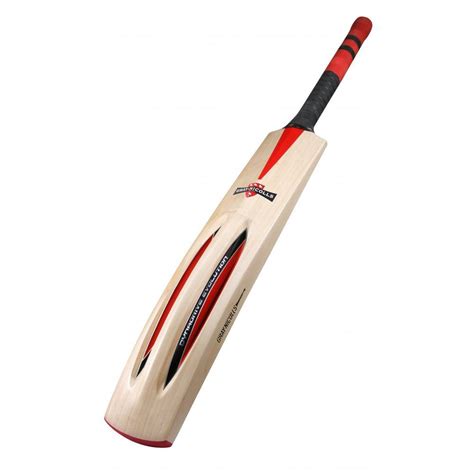 Most Expensive Cricket Bat Ever - Falocasa