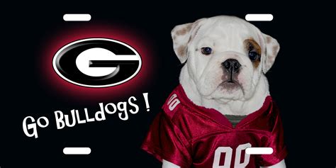 🔥 [50+] Georgia Bulldogs Camo Wallpapers | WallpaperSafari