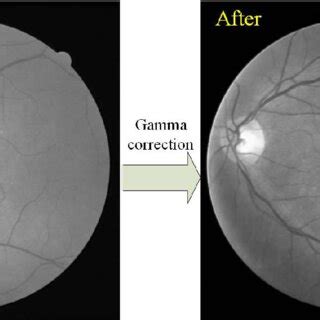 Illustration of Gamma correction. | Download Scientific Diagram