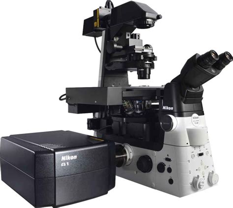 Confocal Microscopes – Nikon Microscopy