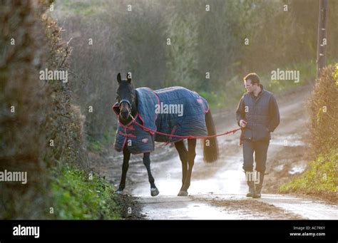 Evan Williams racehorse trainer with a horse he is training "State of Play" at his Vale of ...