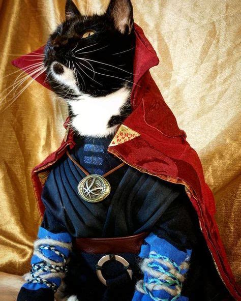 12 Best AVENGER CATS...... images in 2020 | Cats, Cat art, Feline